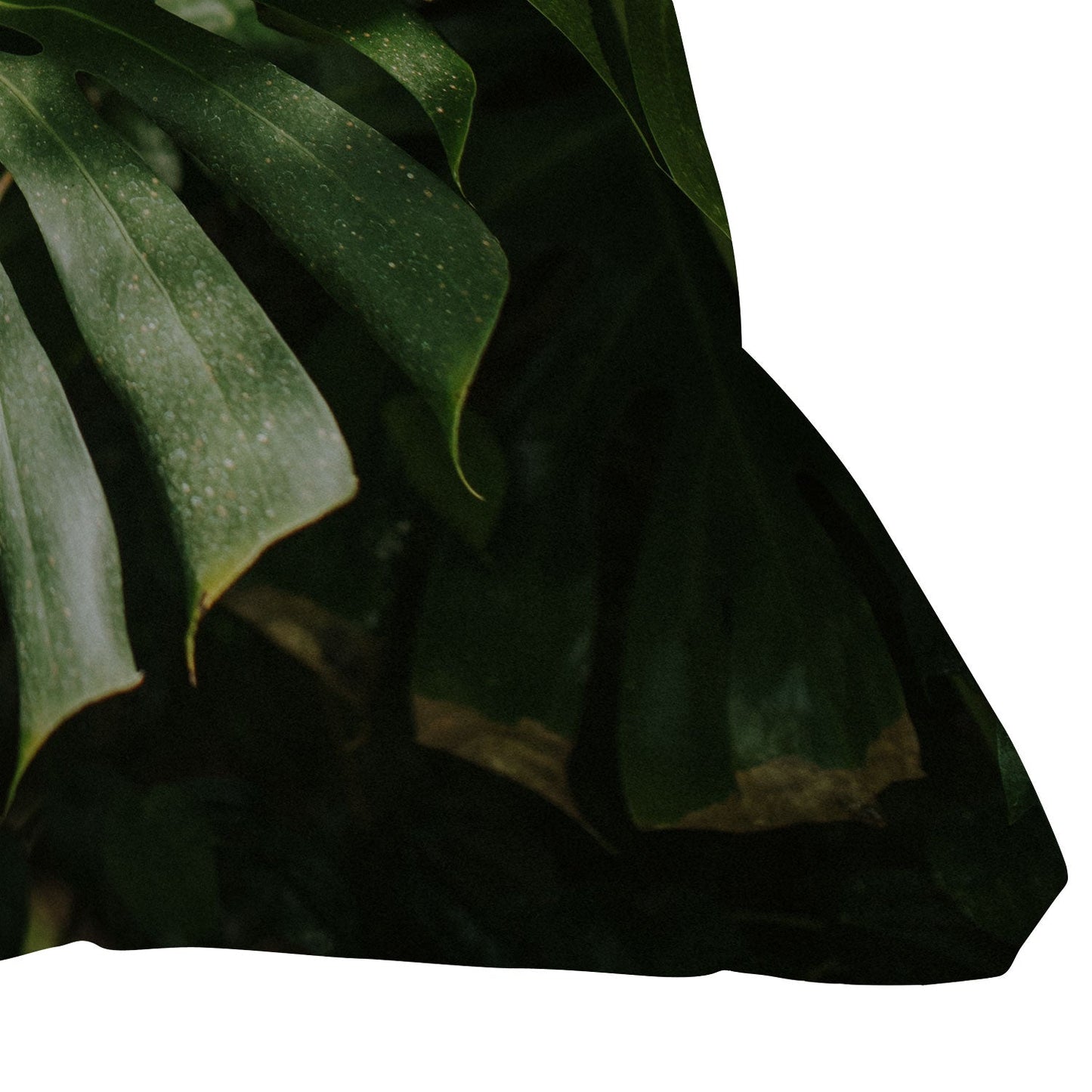 Hello Twiggs Monstera Leaves Throw Pillow