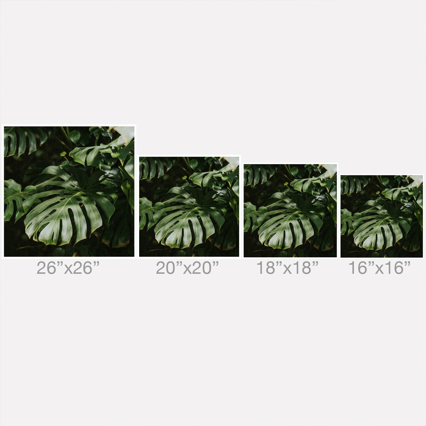 Hello Twiggs Monstera Leaves Outdoor Throw Pillow