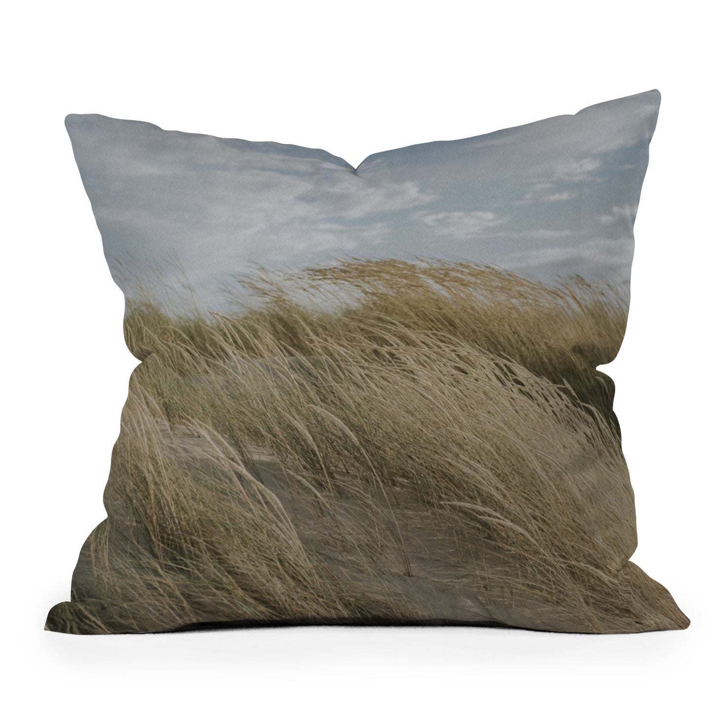 Hello Twiggs Summer Dunes Outdoor Throw Pillow