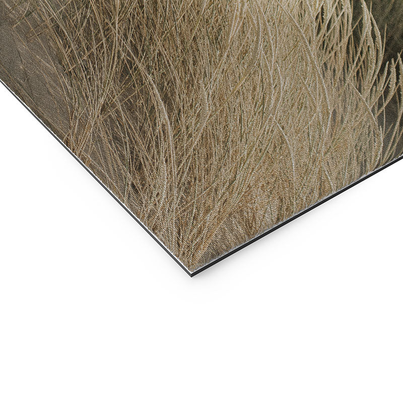 Hello Twiggs Summer Dunes Welcome Mat
