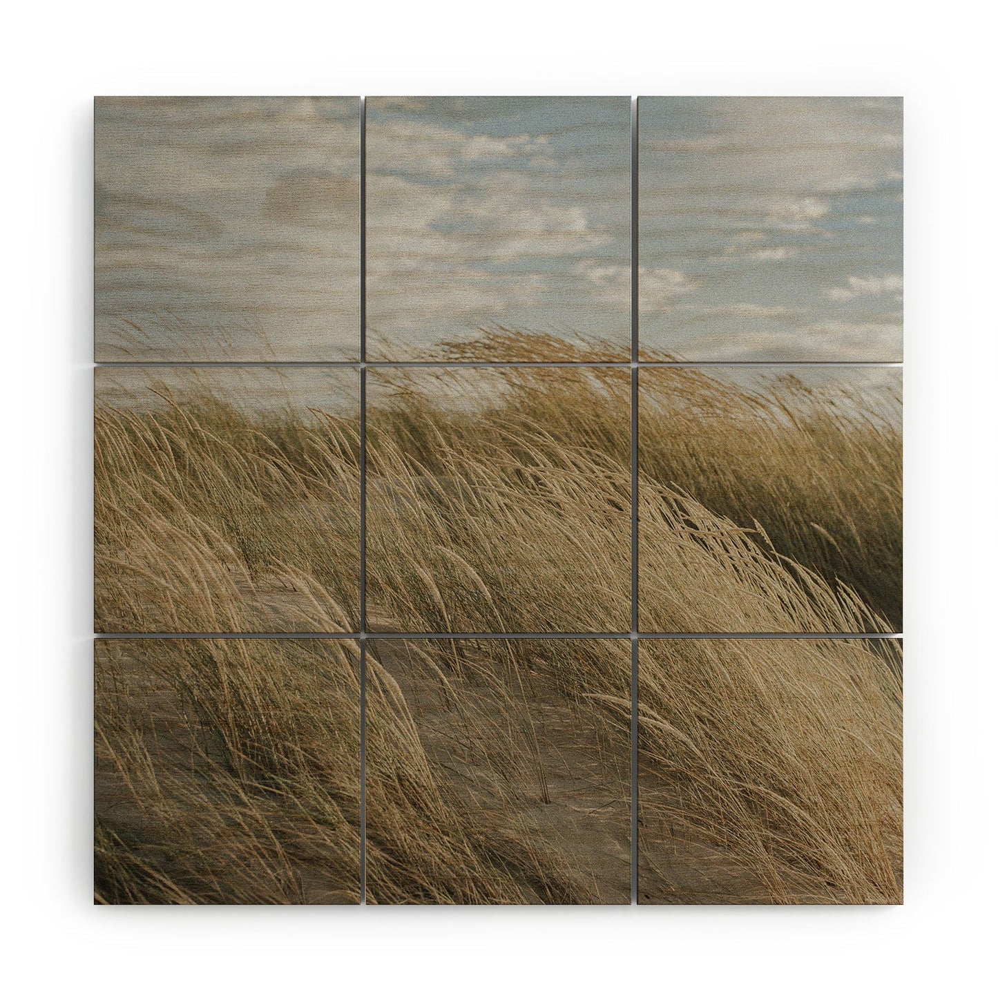 Hello Twiggs Summer Dunes Wood Wall Mural