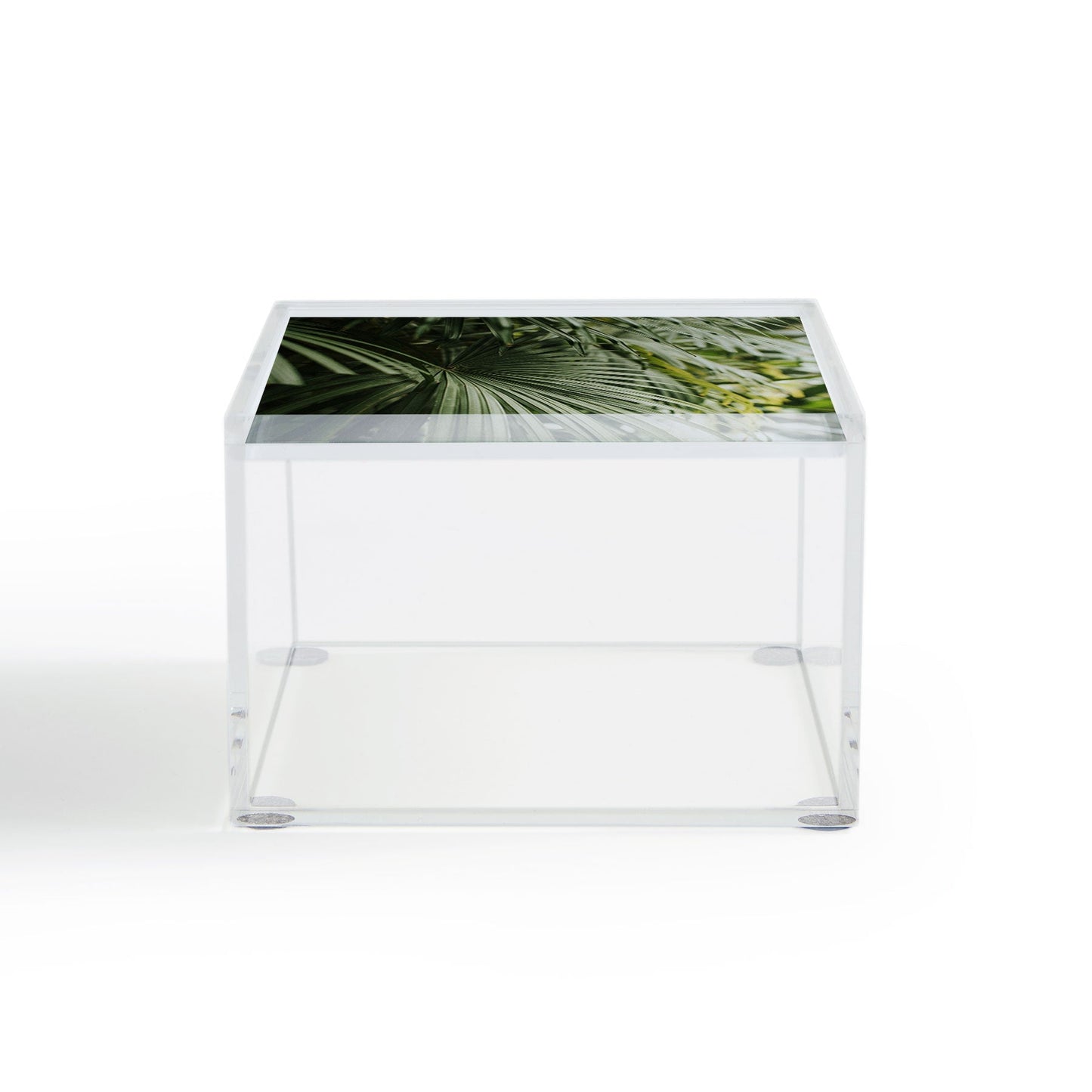 Hello Twiggs Tropical Green Palm Acrylic Box