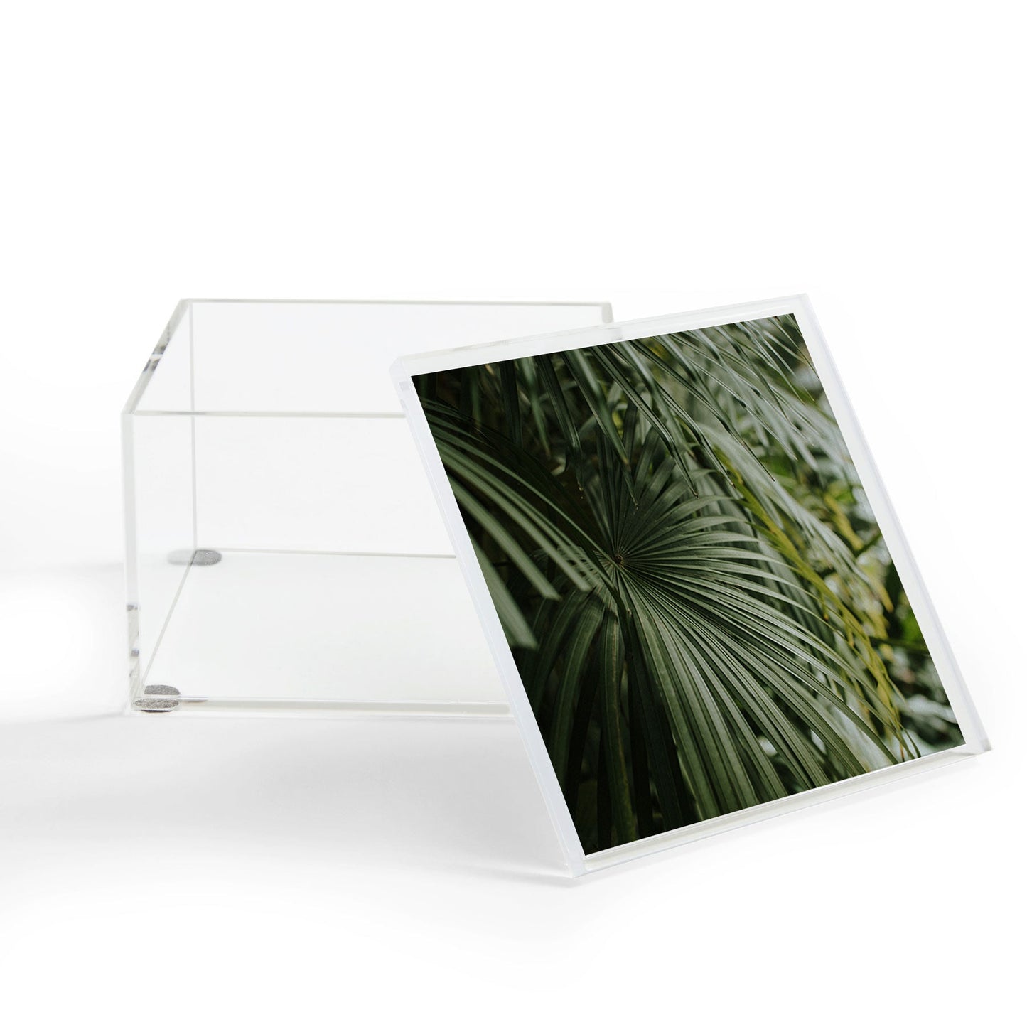 Hello Twiggs Tropical Green Palm Acrylic Box