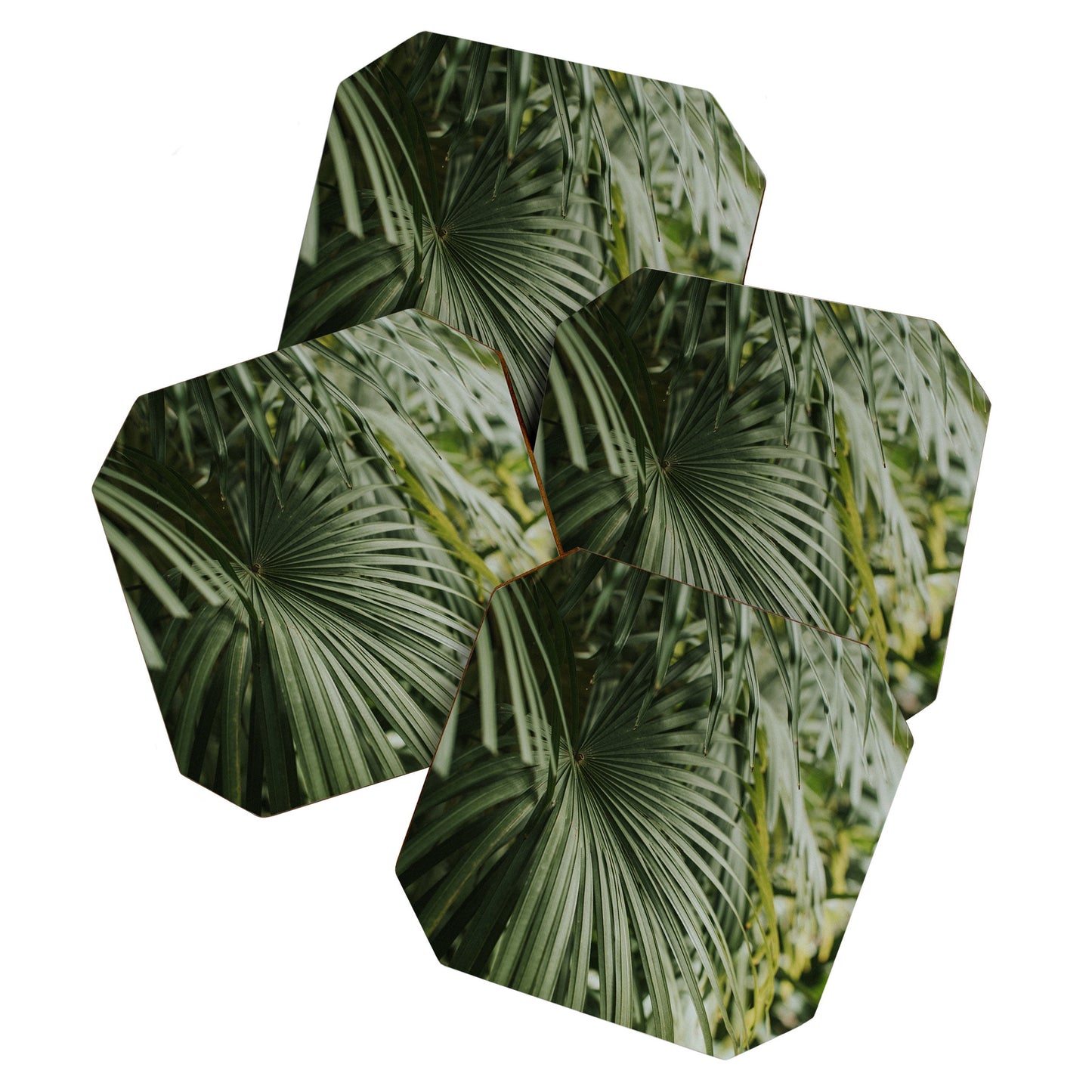 Hello Twiggs Tropical Green Palm Coaster Set