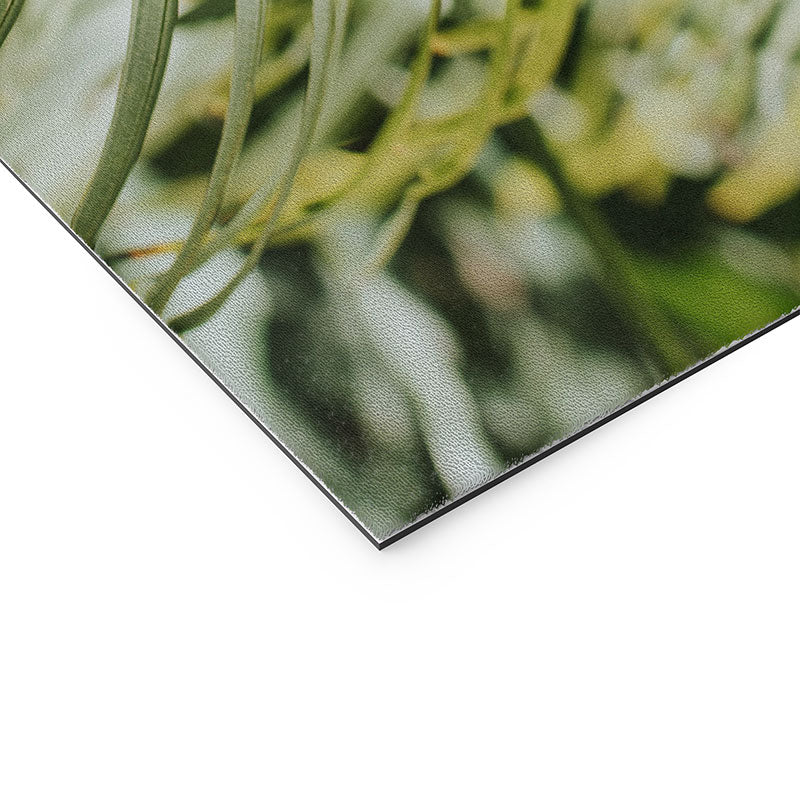 Hello Twiggs Tropical Green Palm Welcome Mat