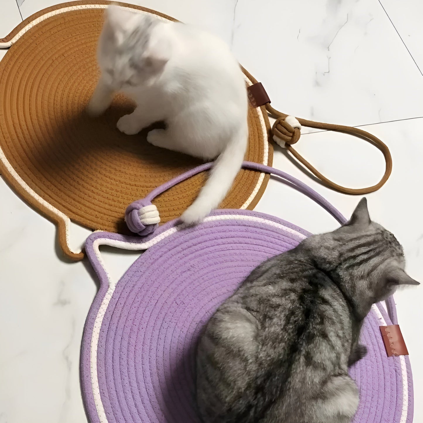 Katten ClawGuard