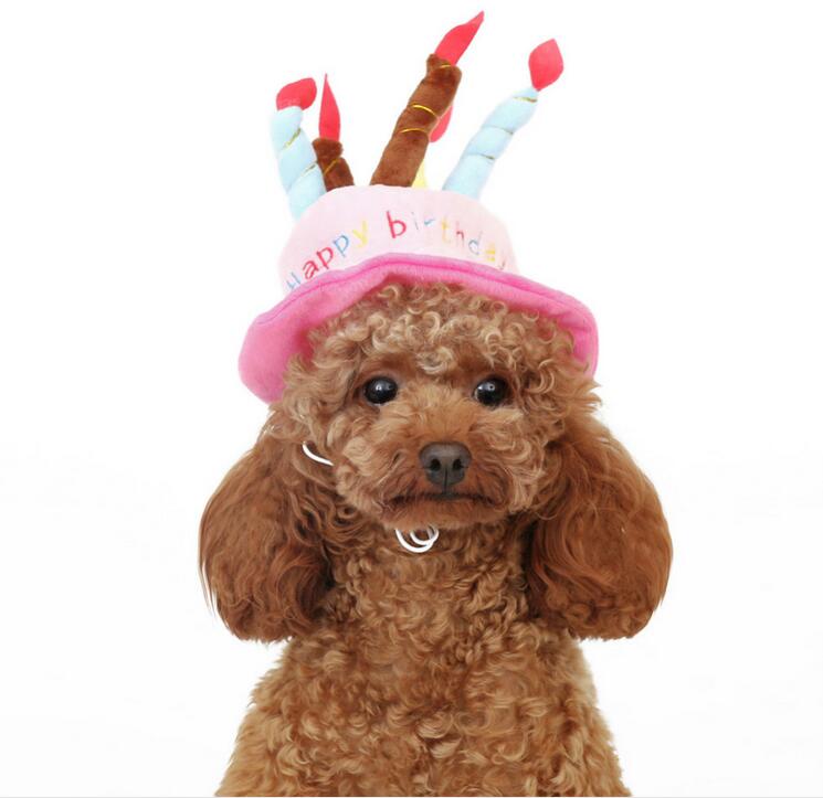 Verjaardagshoed voor Honden en Katten - PartyPaws
