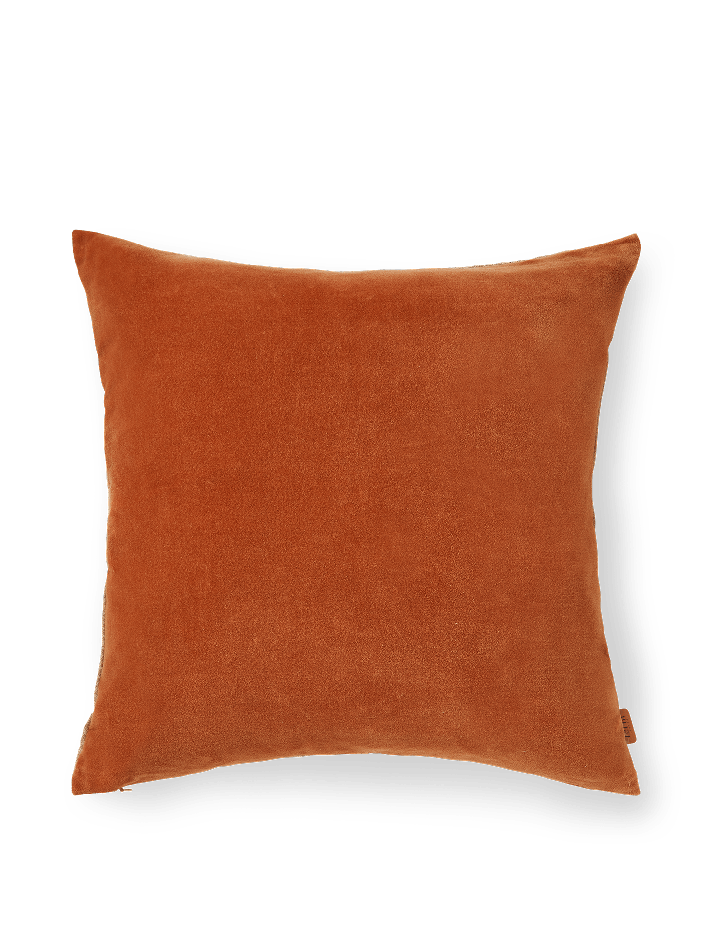 Senti Cushion