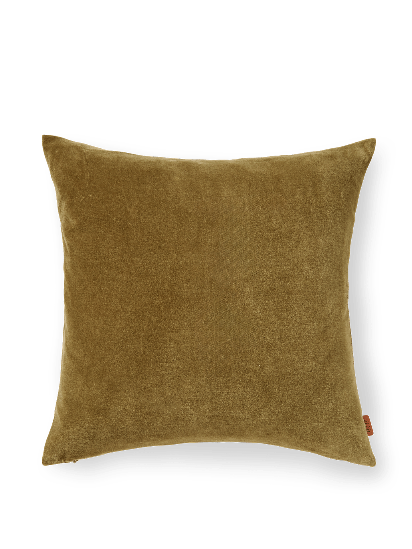 Senti Cushion
