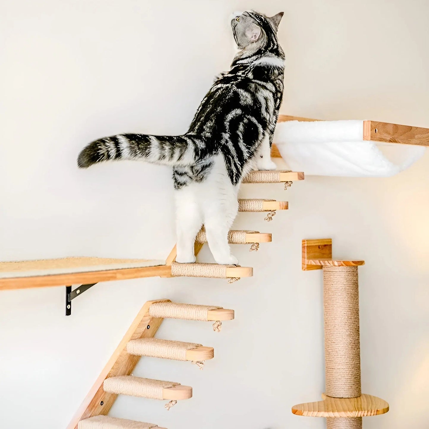 Wandklimplank voor Katten met Krabpaal – ClimbPaws